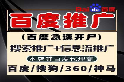 探索专业SEM托管的奥秘：从案例看效果